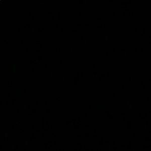 Meet your Posher, Alani